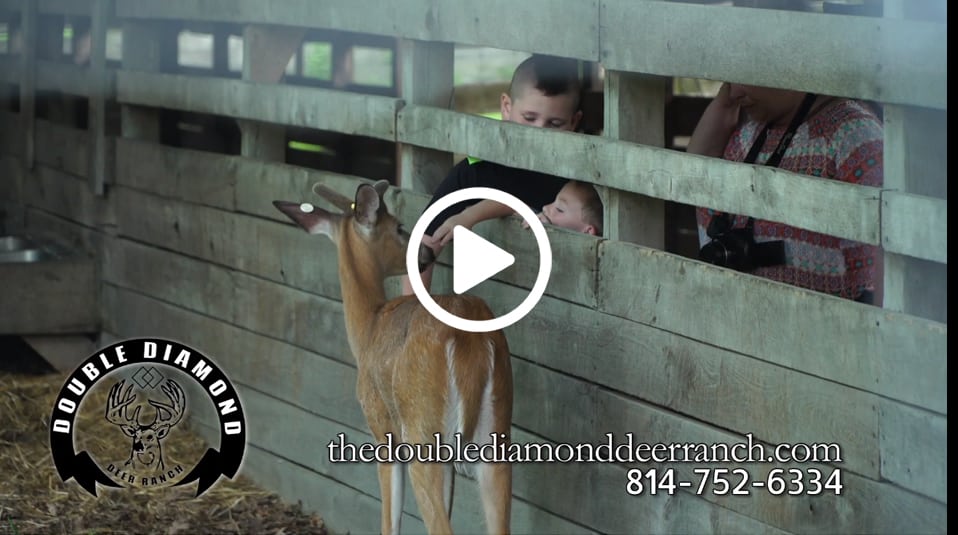 Double Diamond Deer Ranch screenshot with play button